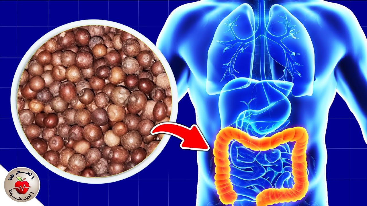 لو علمت ماذا يوجد في النبق أو العناب لما تركته أبدا !! | Avantages du jujube