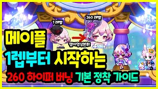 [메이플] 겨울방학 뉴비들을 위한 🏰 1렙부터 시작하는💪 260레벨 하이퍼 버닝 기본 육성 가이드🚀