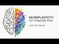 Neuroplasticity: Our Adaptable Brain with Nick Spitzer - On Our Mind