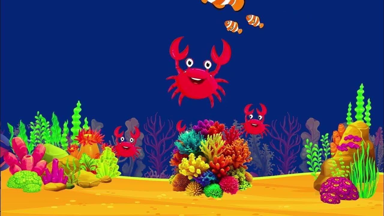 Sleep Instantly in 3 Minutes 💤 Mozart & Brahms Lullaby Baby Sleep Music for Sweet Dreams Calm 