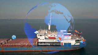 Remote Magnetic Compass Adjustment Service: Global SOLAS V/19 Compliance