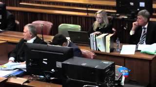 Oscar Pistorius Trial - THE BEST OF... Wealth