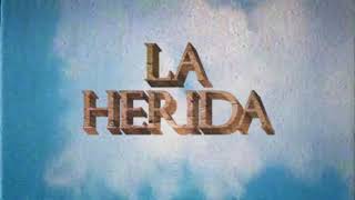 Video thumbnail of "Bandalos Chinos - La Herida (Audio Oficial)"