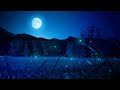 1 hour calming sleep music  stress relief music insomnia relaxing sleep music my dream