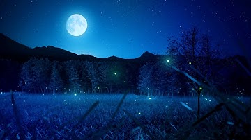 Thumbnail of 1시간 잔잔한 수면음악 + 풀벌레소리 🎵 스트레스 해소음악, 잠잘때 듣는 음악, 불면증치료음악, 수면유도음악 (My Dream)