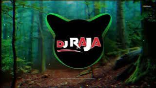 Naina Ke Gulel Jhan Mar Rashiya | DJ Raja Knd | Cg Song Dj | Lagan | Cg Movie Song 2024
