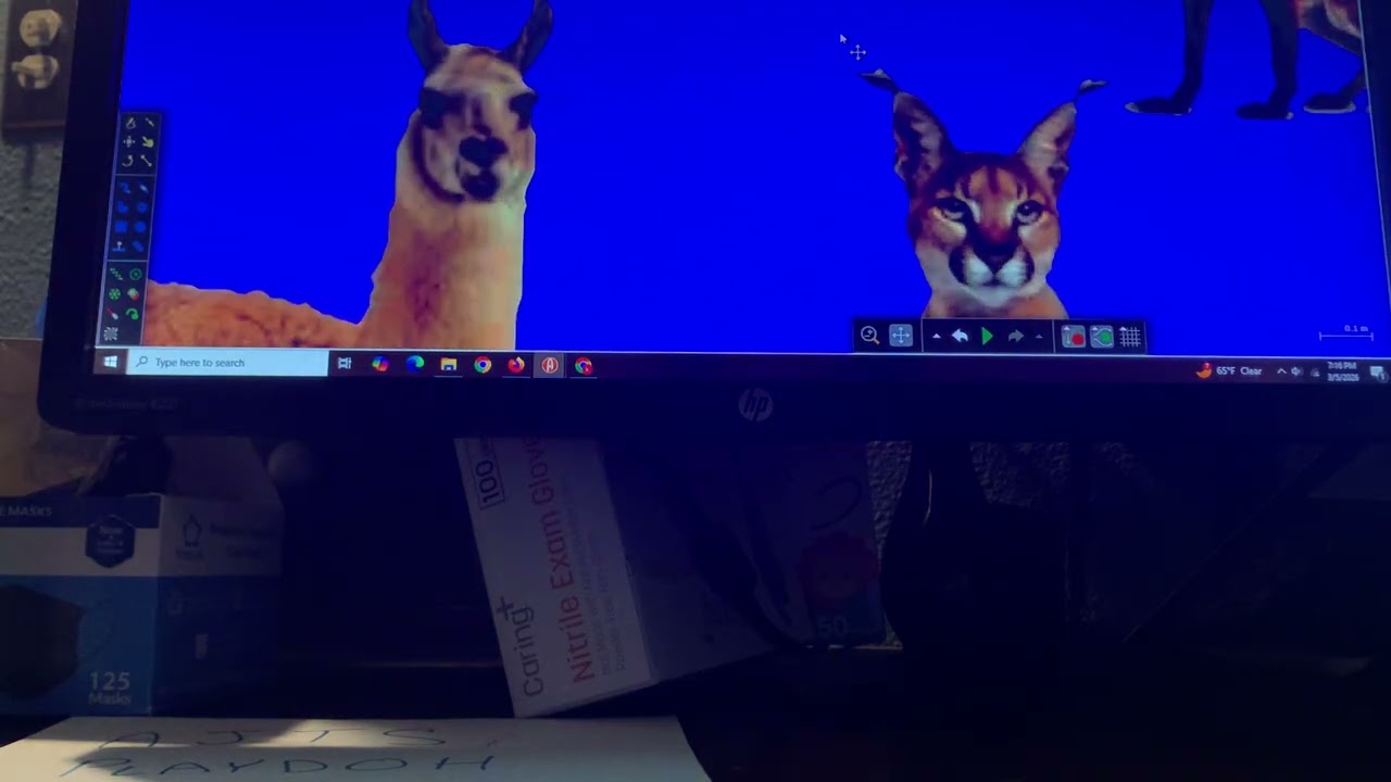 BASIC ANIMALS SIZE COMPARISON