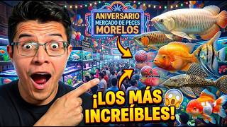 Fui al ANIVERSARIO del Mercado de Peces Morelos… y encontré ESTO