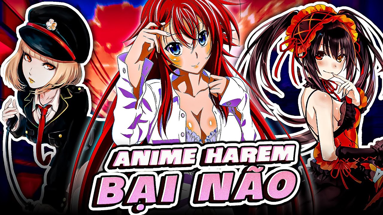 TÔI ĐÁNH GIÁ 20 BỘ ANIME HAREM Ẻ CHI THEO THANG ĐIỂM 10