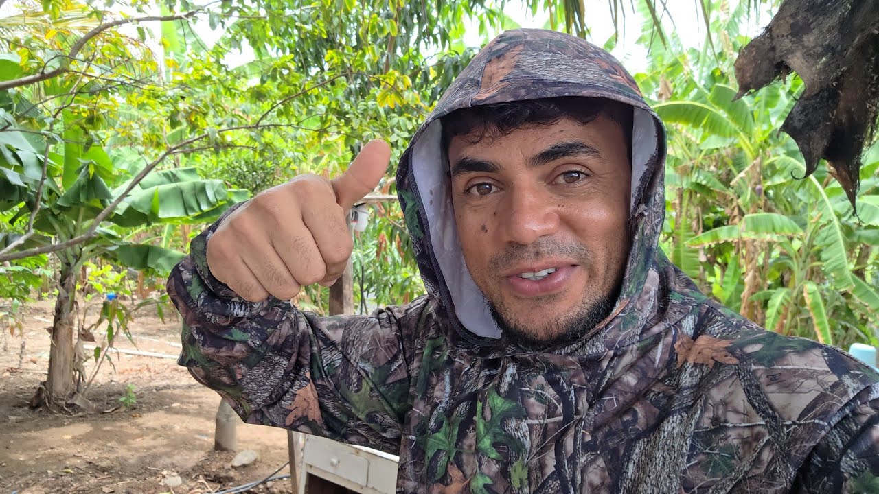 Serviço tá ficando top