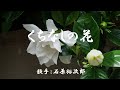 くちなしの花 ( 石原裕次郎)日本語の歌詞付き
