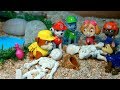 PAW PATROL perdidos en el DESIERTO! patrulla canina patrulla cachorros mighty pups videos para niños