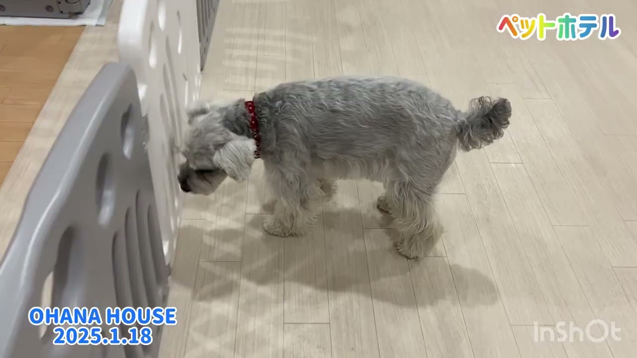 ペットホテル上新屋店