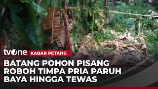 Download lagu Middle-Aged Man Dies After Being Crushed by Banana Tree | Evening News