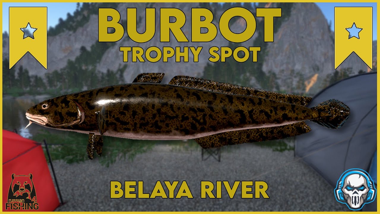 BURBOT TROPHY SPOT! BELAYA RIVER - Russian Fishing 4 