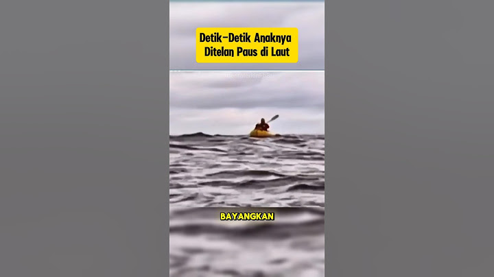 DETIK-DETIK ANAKNYA DITELAN PAUS DI LAUT #shorts #viralvideo #youtubeshorts