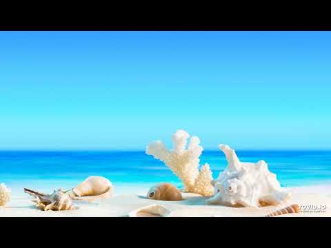 020שער הנקודים פרק א | Harav ariel sibeoni |  Kabbale | secrets de la Torah | ochrot hayim