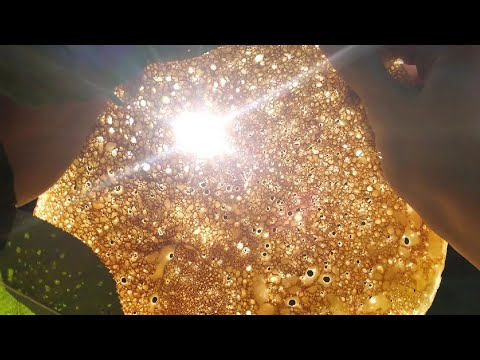 Самые бюджетные блины!/Всего 3 ингредиента!/Очень вкусно!#простаяеда #блины #рецепт #постноеменю