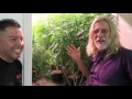 BIG Cannabis Warehouse (Part 7)