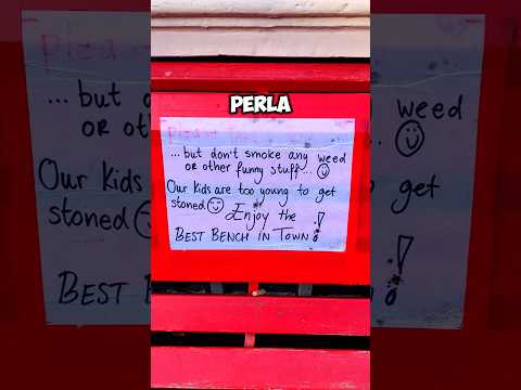 Video La migliore panchina di Amsterdam
