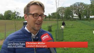 Nandus Im Huehnerstall Internetversion