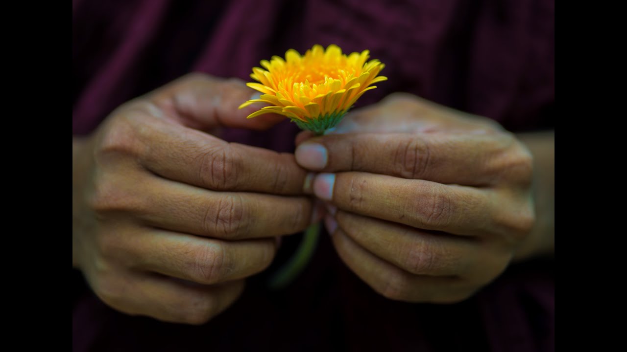 දෘෂ්ඨි හා මතවාද වලින් ඉවත්වීම.