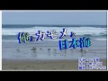 『俺とカモメと日本海』伊達悠太 <峰>