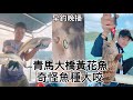 香港釣魚｜早釣晚播  青馬釣黃花魚 奇怪魚種大咬 片尾釣組分享（中文字幕後補）