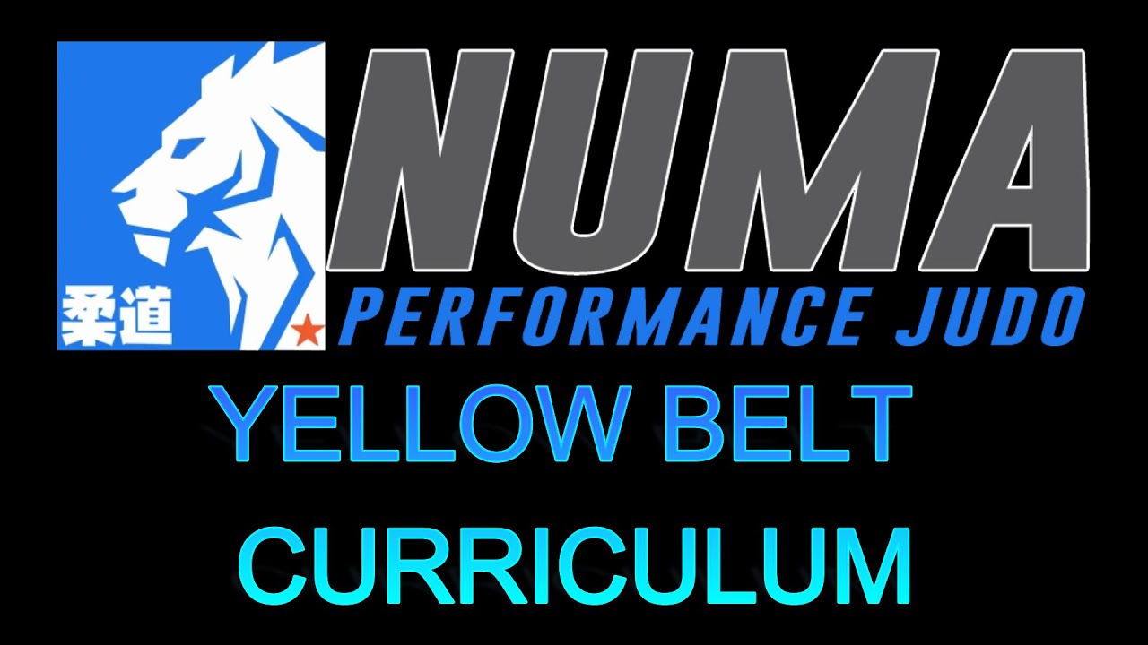 Yellow Belt Curriculum