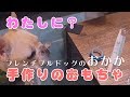 #030 おかか 犬用手作りおもちゃに大喜び【フレンチブルドッグのおかか】