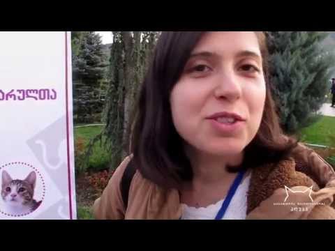 კნუტების გაჩუქების აქცია თბილისობაზე (17-18 ოქტომბერი, 2015)