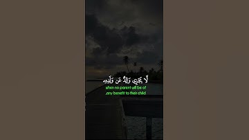 استغفروا الله 🤲#قرآن #المصحف #تلاوة_خاشعة #تلاوة_هادئة #ياسر_الدوسري #قران_كريم