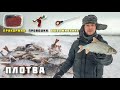 ЛОВЛЯ ПЛОТВЫ НА МОРМЫШКУ С МОТЫЛЁМ ПРИКОРМКА ПРОВОДКА ПОИСК как поймать? зимняя рыбалка 2021