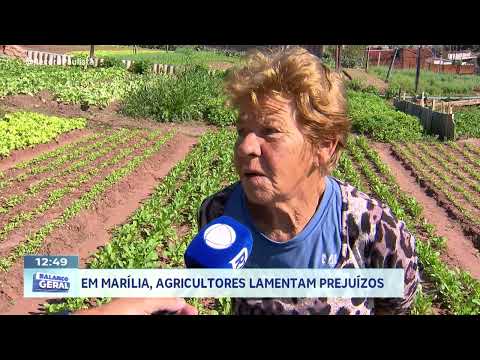 Weather: heavy rainfall causes losses and hinders farmers in Marília
