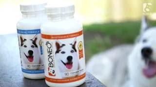 Boneo Canine and Neo by Bio Rep Animal Health 554 views 7 years ago 30 seconds