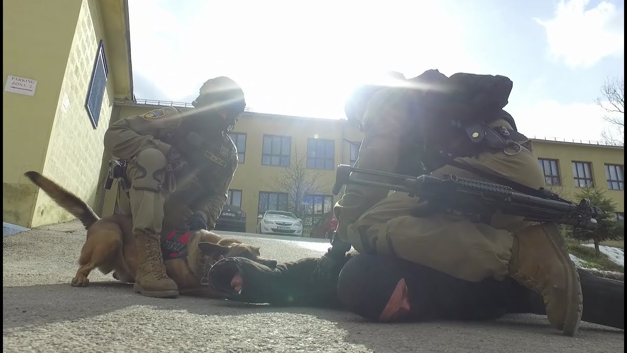 SPECIJALNA POLICIJSKA JEDINICA FUP -  PSI ZA ANTITERORIZAM