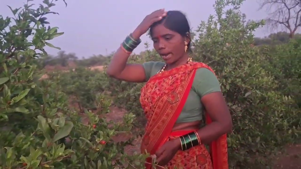 बागेची कळी करपली कशी बघा