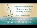 Natures Oldest Plant Medicine and the Journey to Find It with Adora Winquist