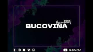 Download lagu NANDI BUCOVINA BREAKS FUNKY 2024!!! REMIX ‼️💃