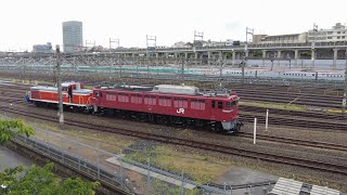 EF81 134出区,EF81 139+DE10 1571 [2024.5.28]