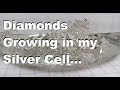 DIAMONDS Growing in my Silver Cell!