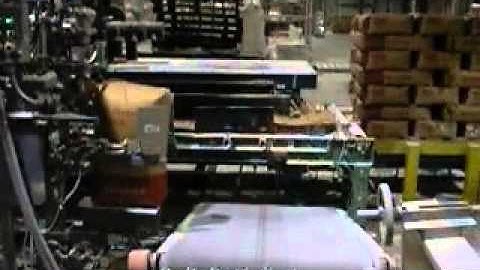 Robotic Palletizing by Vector Automation for Factory Automation