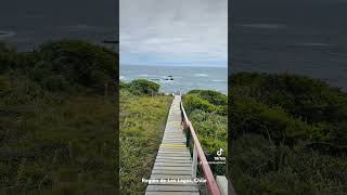 Pasarelas de Estaquilla, Los Muermos, Región de los Lagos, Chile