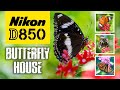 Nikon D850 | Butterfly House | You Won't BELIEVE This Place!