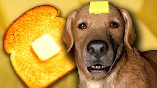 Video thumbnail of "Butter Dog"