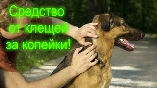 Как изготовить дешевое средство от клещей! Защита от клещей!