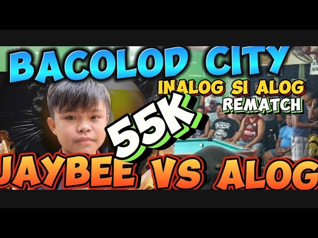 55k rematch🎱 jaybee sucal vs alog bacolod race16 class=