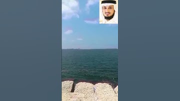 قرآن كريم (سورة القمر) بصوت الشيخ/فارس عباد حفظه الله.....