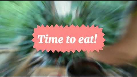 NSTP Project Implementation