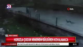 Horozla Çocuk Arasinda Güldüren Kovalamaca